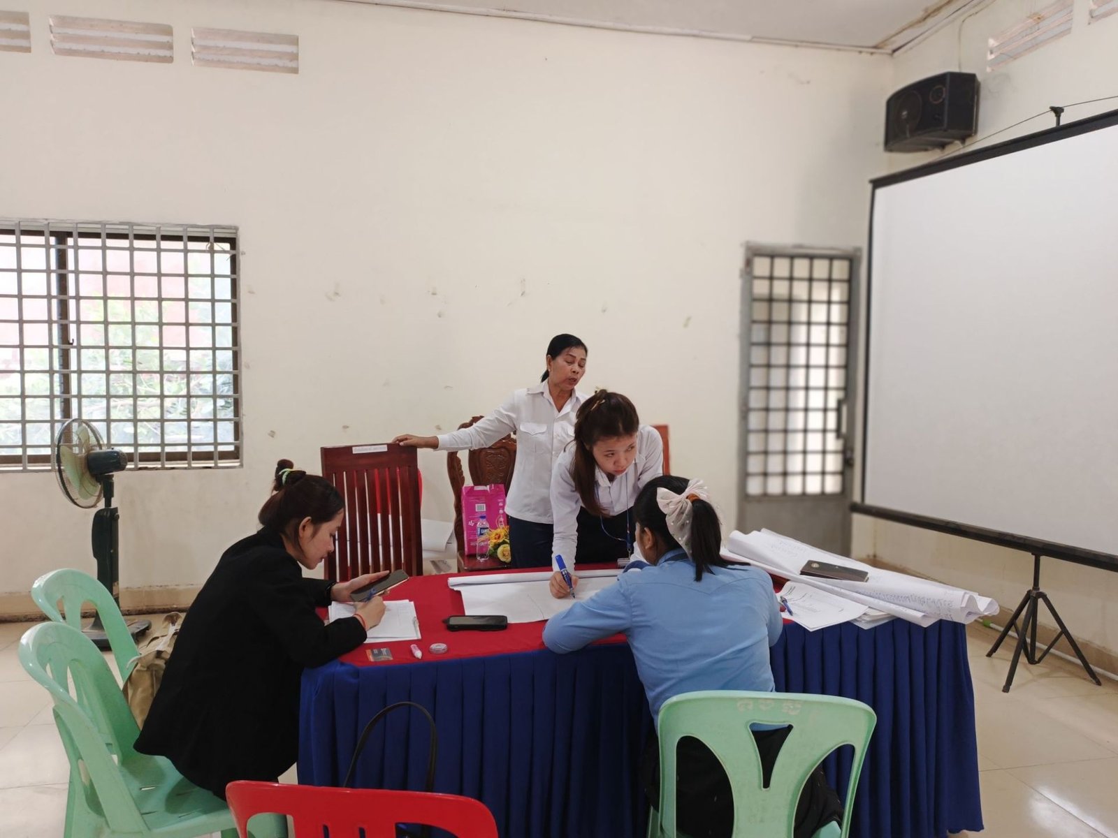 -Doing the Lesson Plan