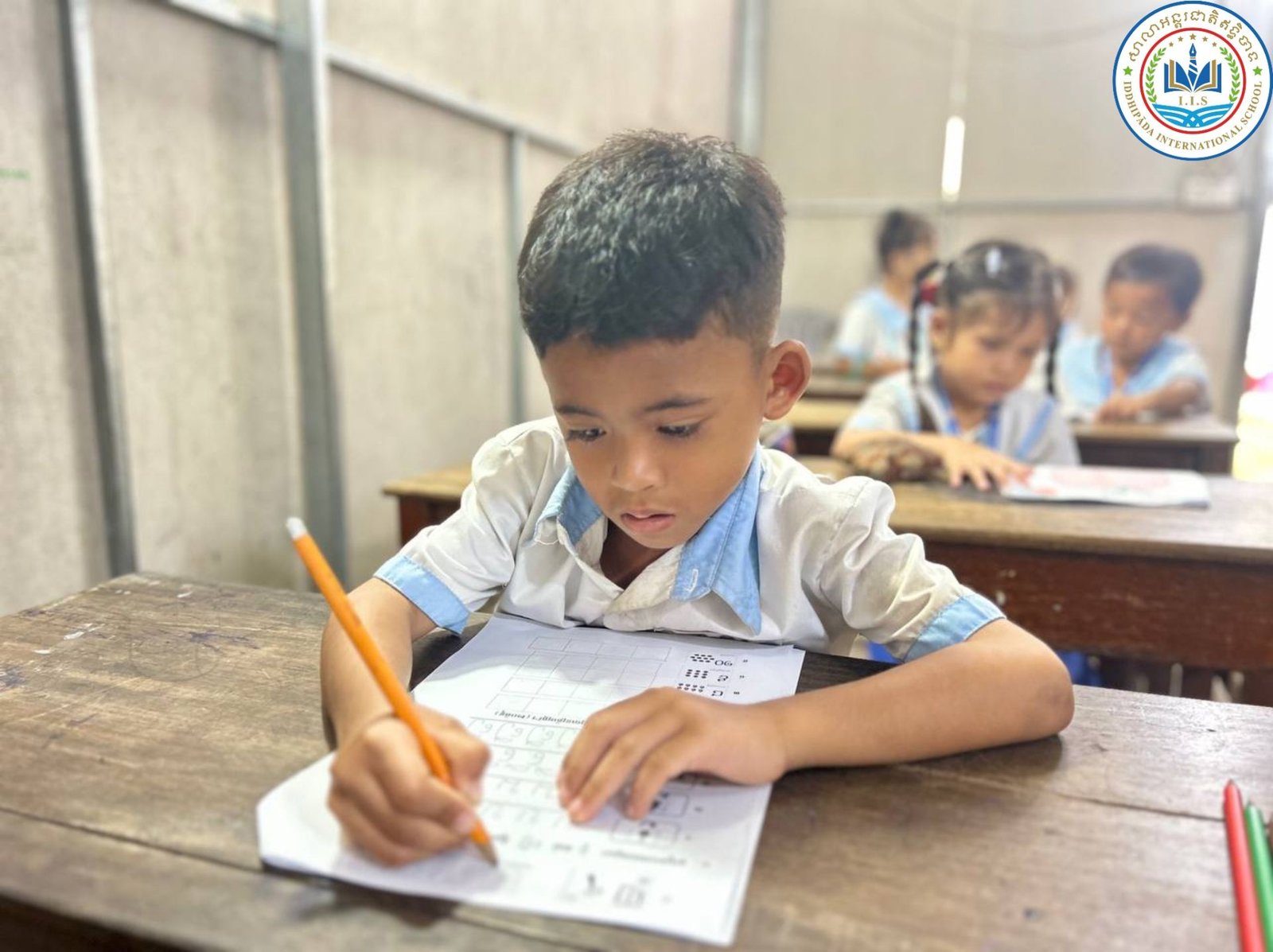 Final Exam Term 6